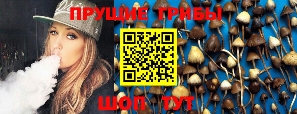 Советск  Галлюциногенные грибы мухоморы  Вход с VPN  Галлюциногенные грибы мицелий 